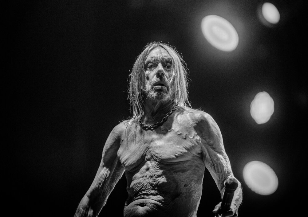 Iggy Pop Kündigt Sein Neues Album Every Loser An Warner Music Germany